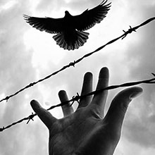 لیست خدمات خیریه